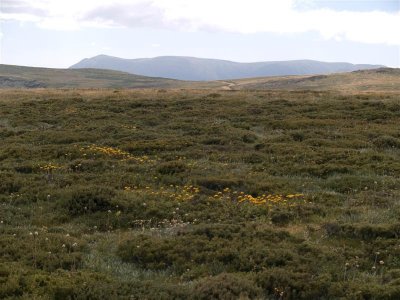 Our goal - Mt Bogong