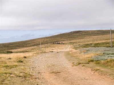 Members of the Melbourne Bushwalking Club