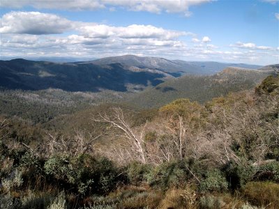 Looking towards Mt Wills