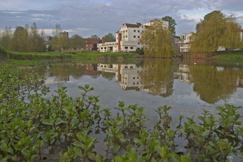 The Mill