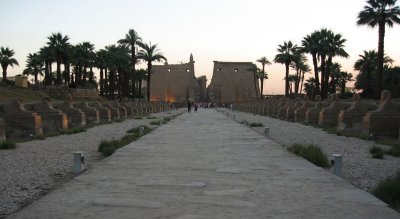 avenue of sphinxes at Luxor Temple