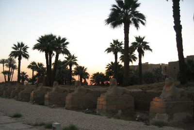 avenue of sphinxes at Luxor Temple