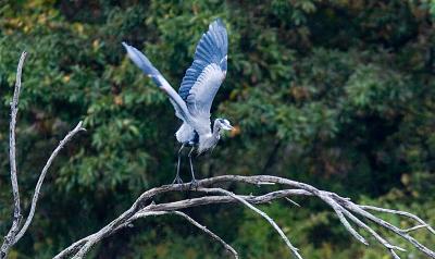 Off the limb