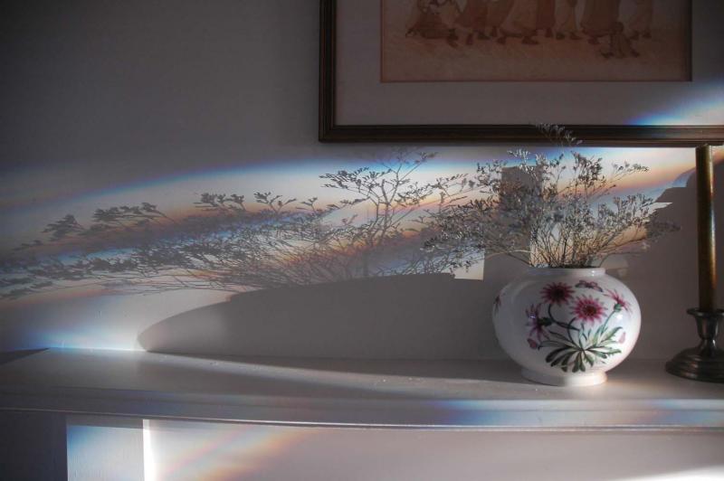 08 Jan Rainbow shadow 5187