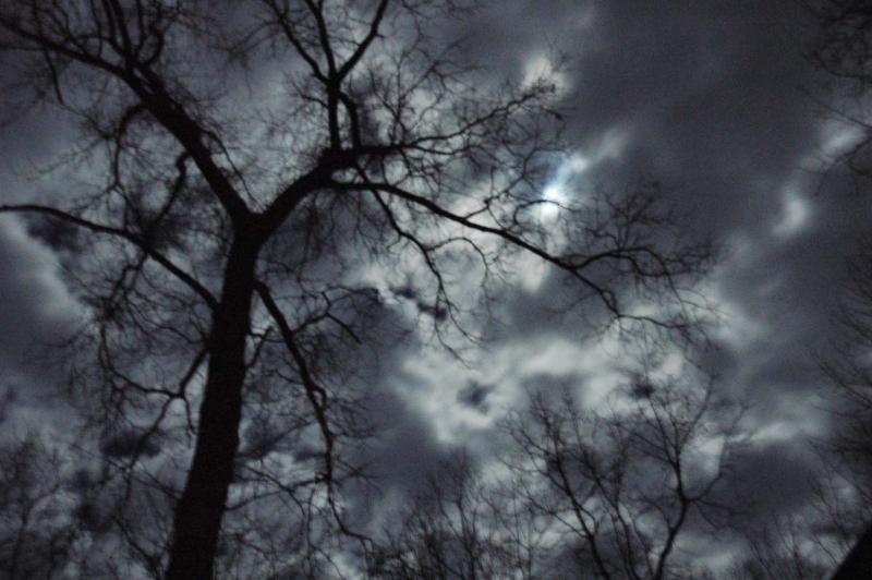 12 Night sky in West Virginia 6612