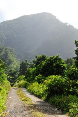 g3/31/528631/3/121700990.xiycNZwa.jpg