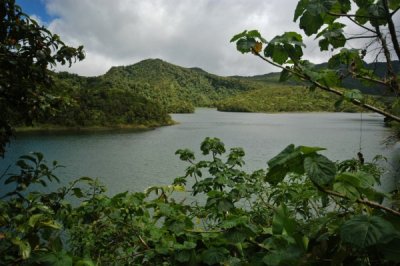 g3/31/528631/3/121703850.p0ht3A1F.jpg