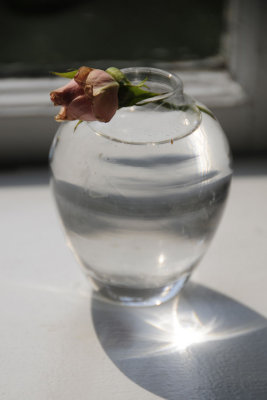g3/31/528631/3/125388623.gQJ6fthF.jpg