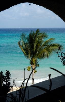 Cozumel ~11 miles from Playa 6738