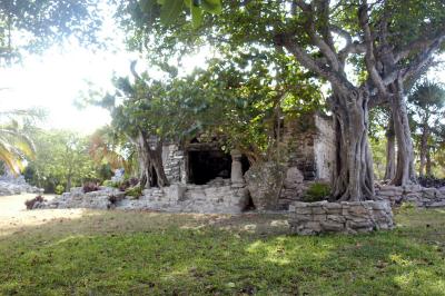 The ruins 6747