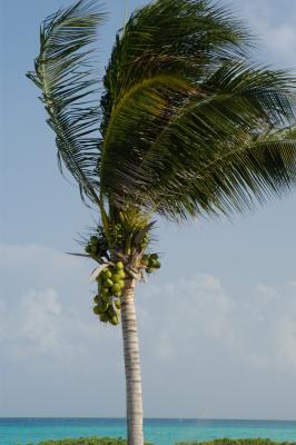 On shore breeze 6777
