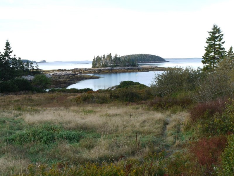 Cottage view