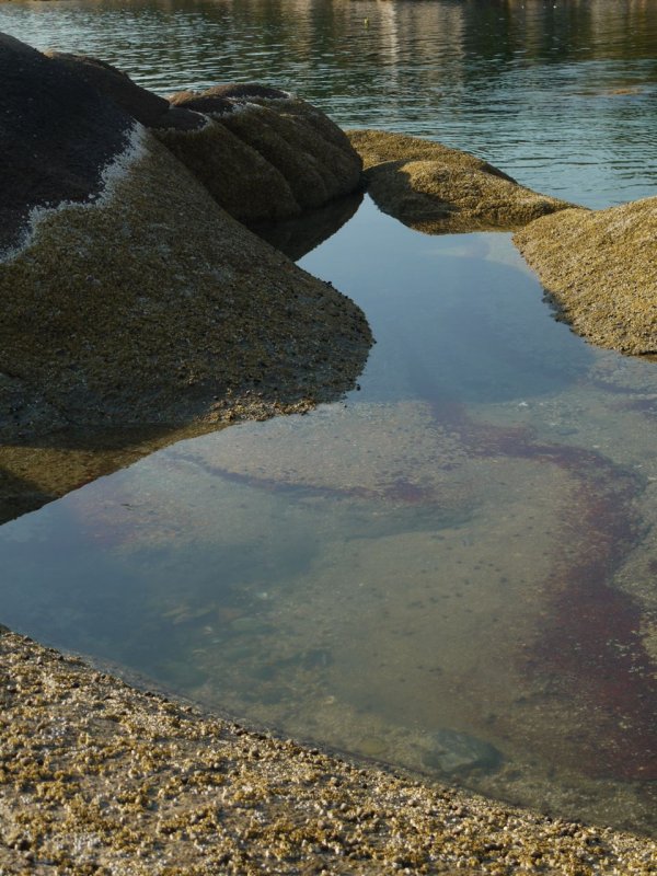 Tidal pool