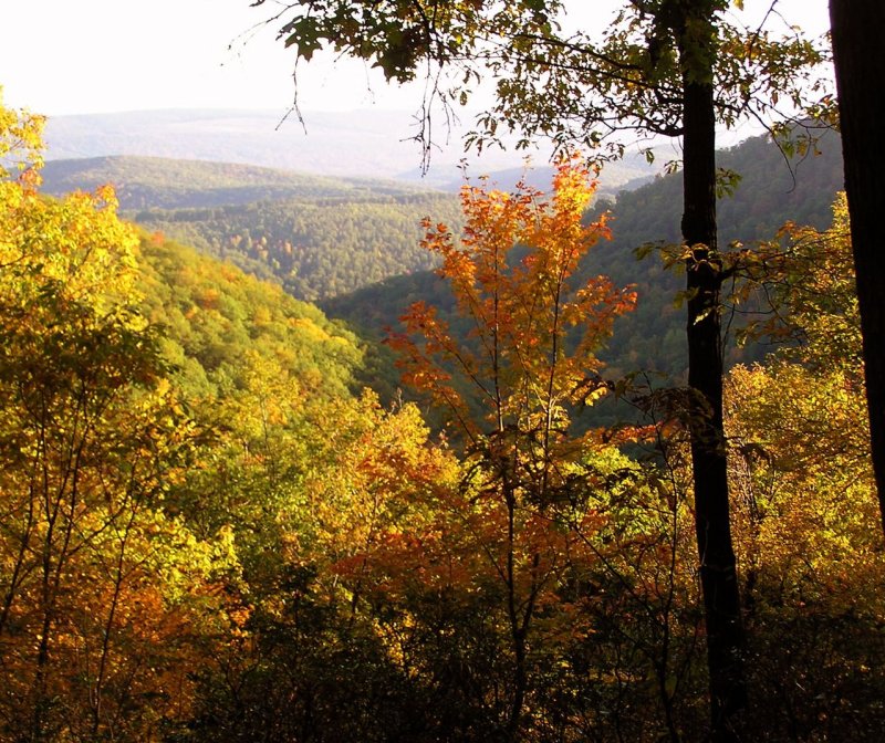 Pennsylvania