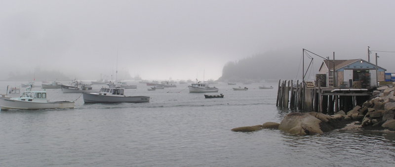 fog