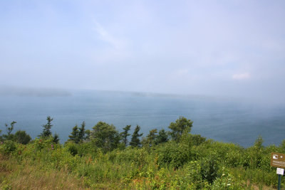 1.IMG_0084.JPG