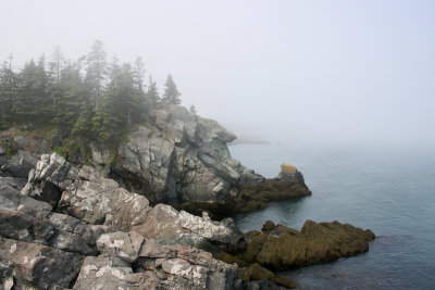 1.IMG_0093.JPG