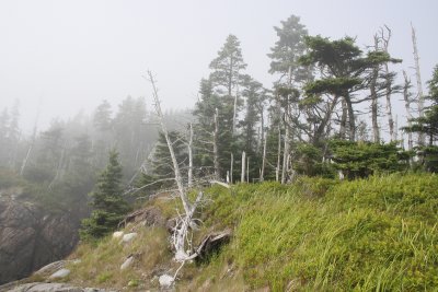 1.IMG_0111.JPG