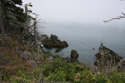 1.IMG_0119.JPG