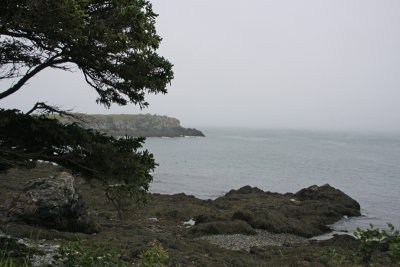 1.IMG_0136.JPG