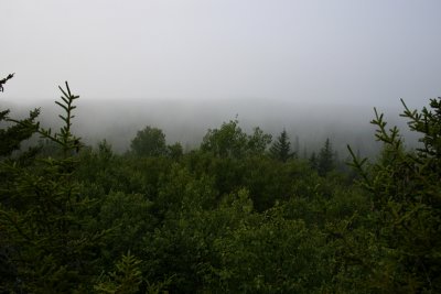 1.IMG_0165.JPG