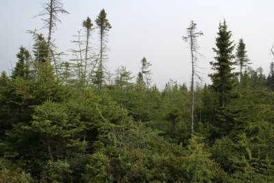 1.IMG_5545.JPG