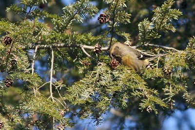 1.IMG_0420.JPG