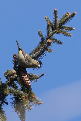 1.IMG_1473.JPG
