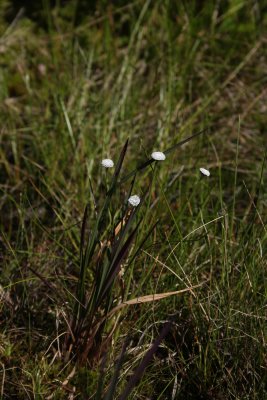 IMG_4746.jpg
