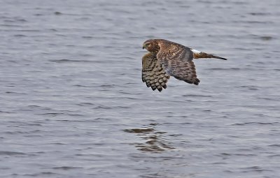 IMG_0331.jpg