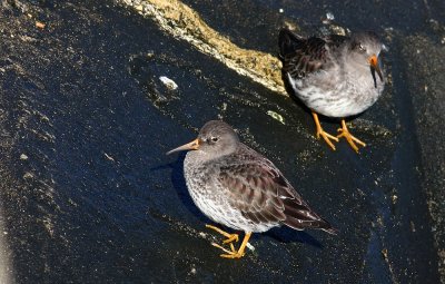 IMG_1267.jpg
