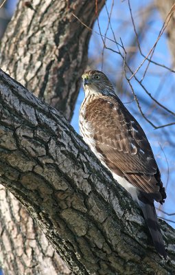 IMG_1281.jpg