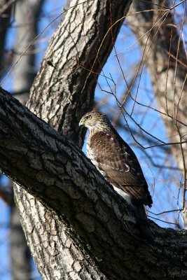 IMG_1284.jpg