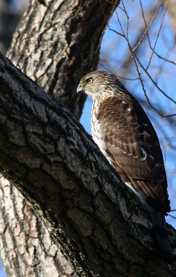 IMG_1285.jpg