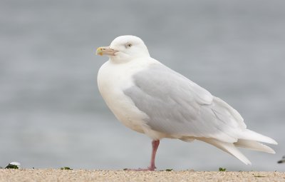 IMG_1897.jpg