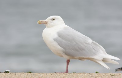 IMG_1899.jpg