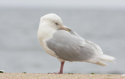 IMG_1908.jpg