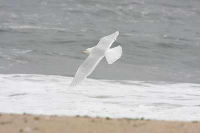 IMG_1935.jpg