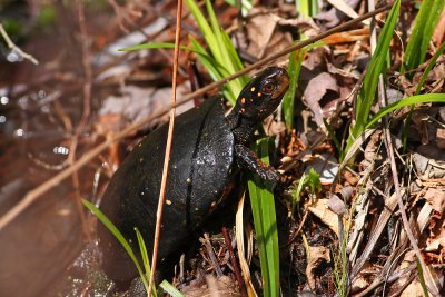 IMG_3240.jpg