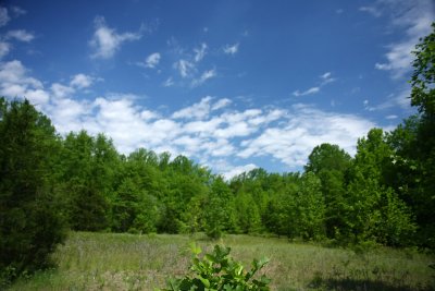 IMG_4358.jpg