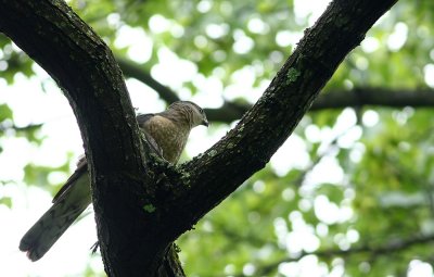 IMG_5199.jpg