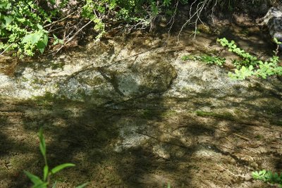 White marl stream