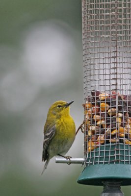 IMG_5756.JPG