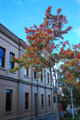 feeble in autumn