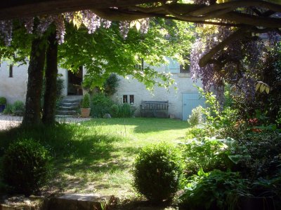 Through The Wisteria - May 2010