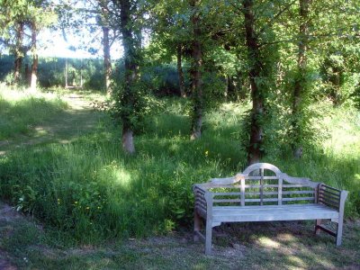 swing or seat near the balsam poplar grove May 2010