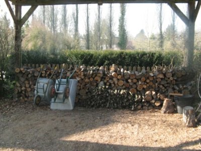 the wood pile