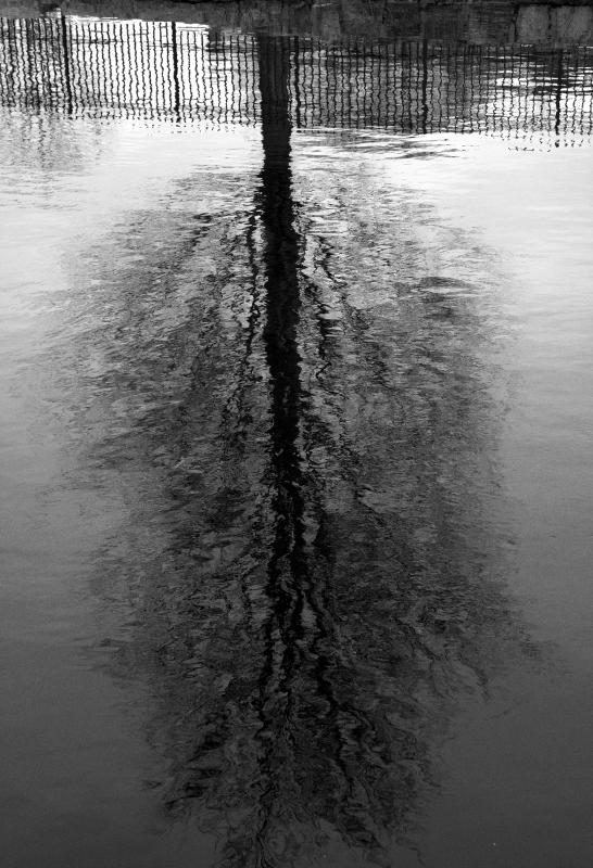 refelection in the river