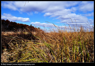 DSC_0740.jpg