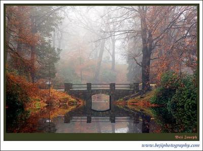 DSC_0061-a.jpg